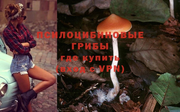 MDMA Алексин