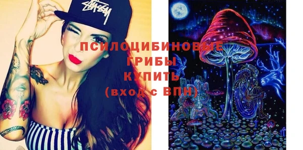 гашик Алзамай