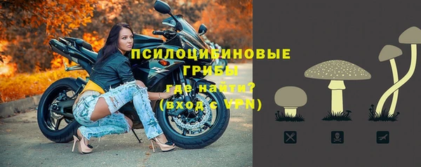 амфетамин Алексеевка