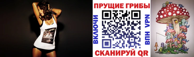 дарнет шоп  Бабушкин  Псилоцибиновые грибы прущие грибы 